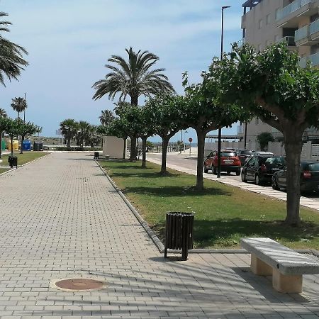 Estudio Con Patio En Daimus Ninos Y Mascotas Consultar Playa de Gandia Εξωτερικό φωτογραφία